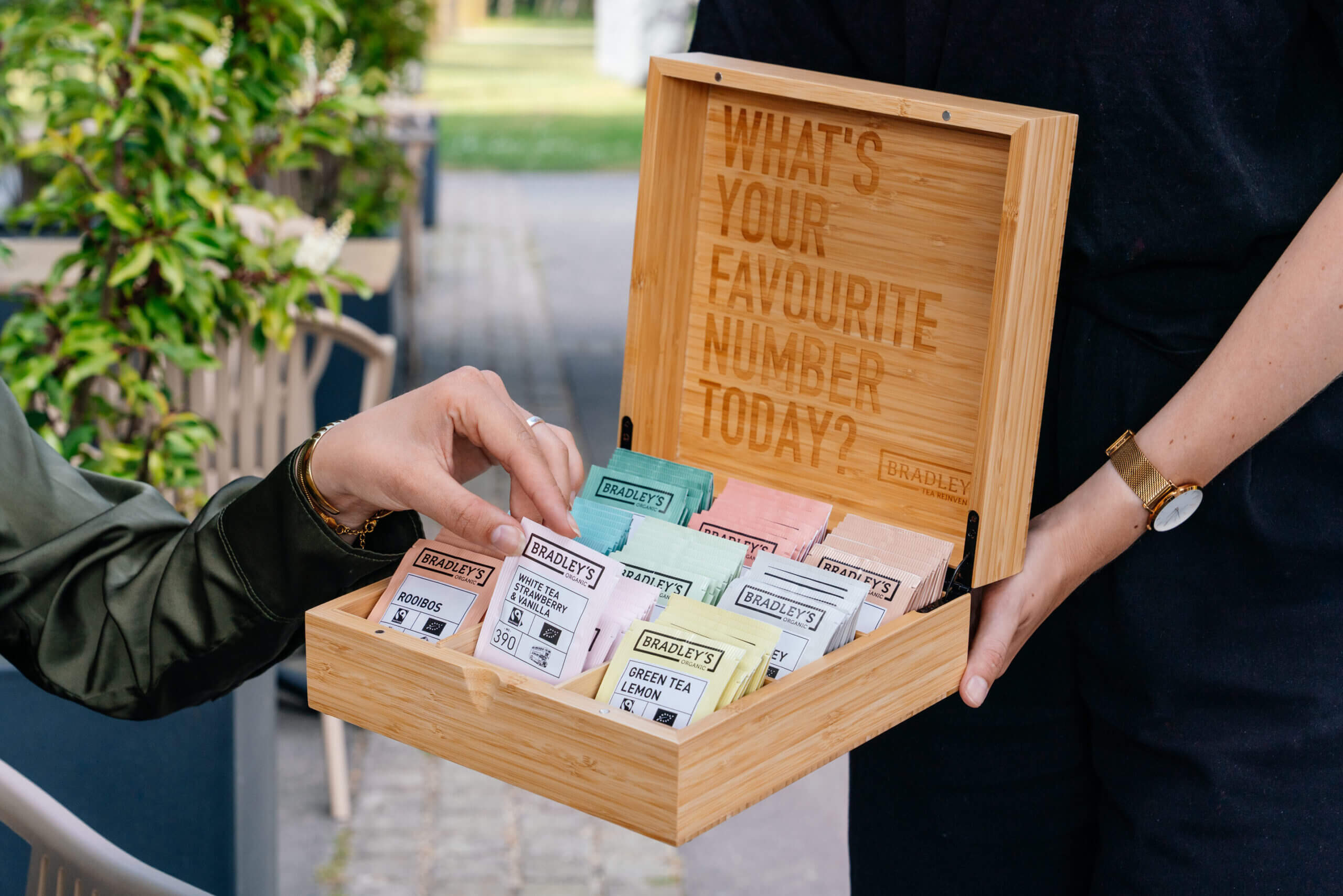 Bradley's organic thee - Tee für deinen Teegarten